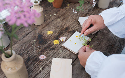 Pocket Flower Press / Dandelion