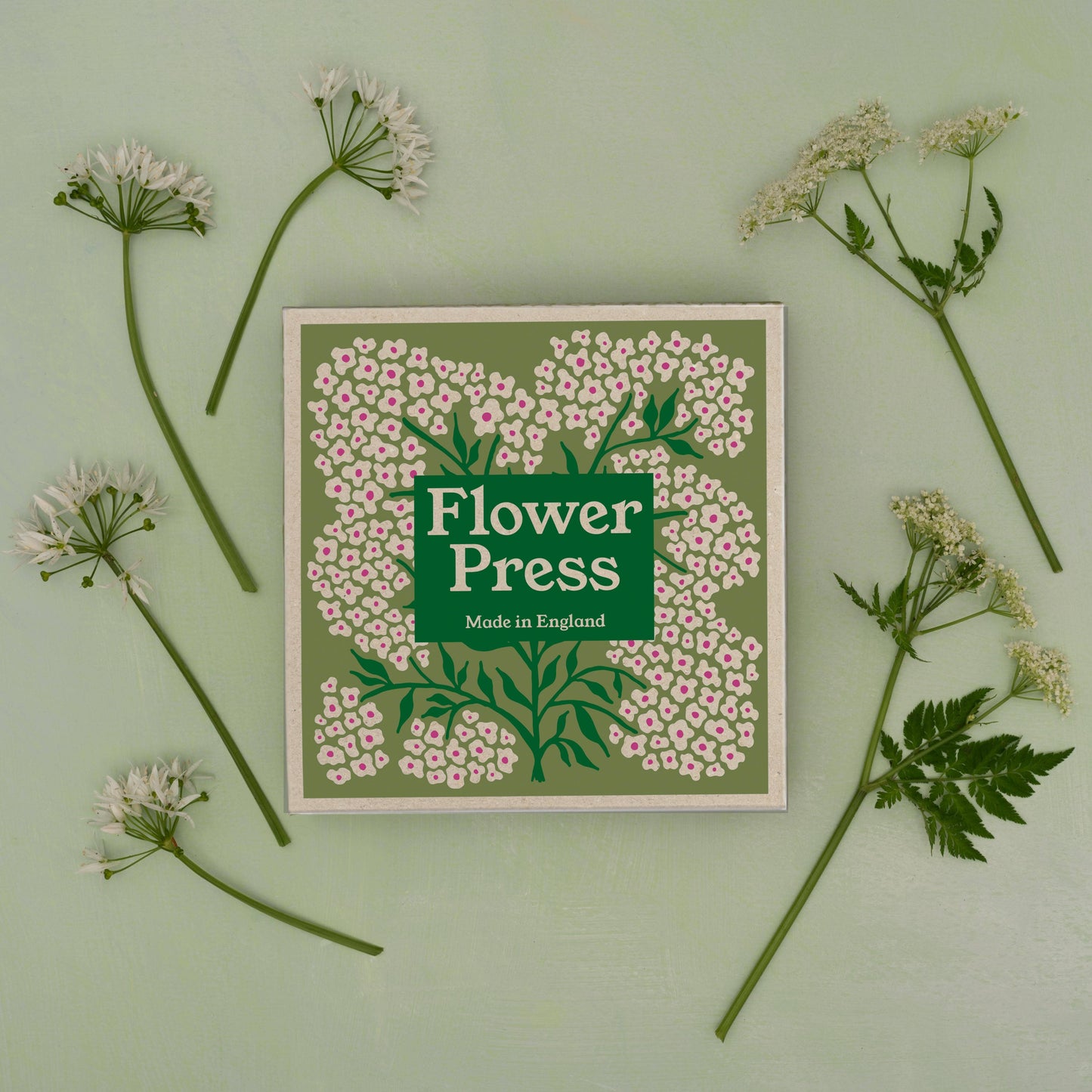 Flower Press / Forget Me Not
