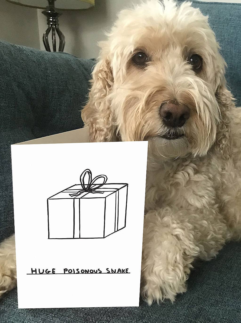 Huge Poisonous Snake Christmas Card
