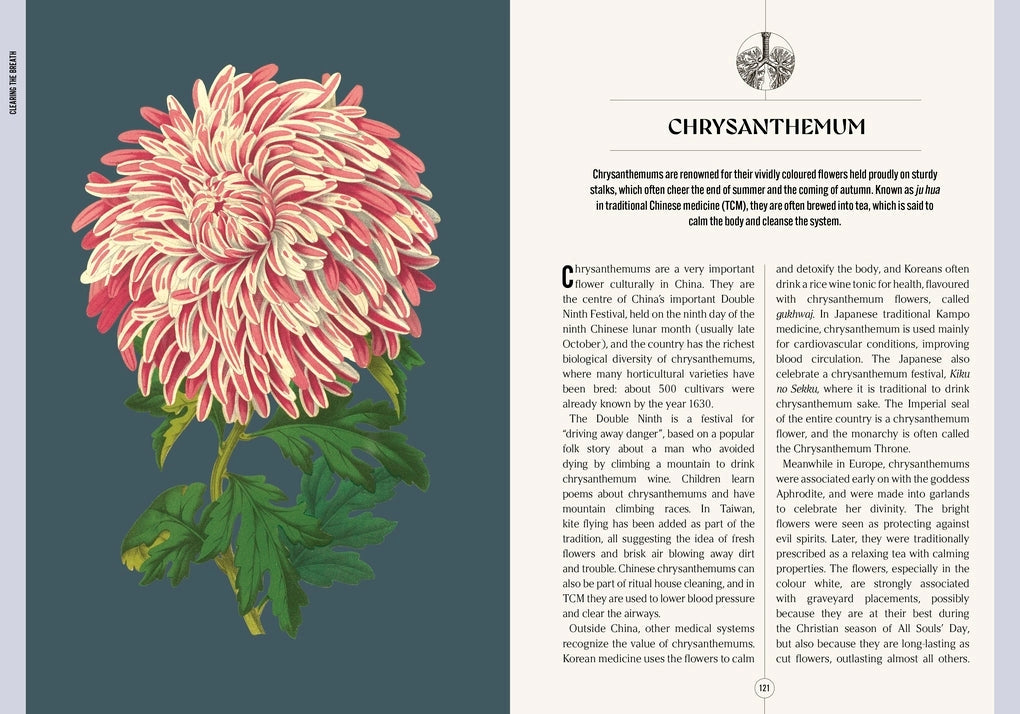 The Apothecary's Garden