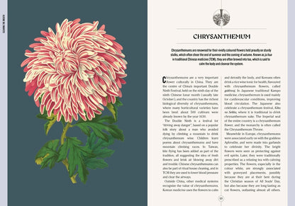 The Apothecary's Garden