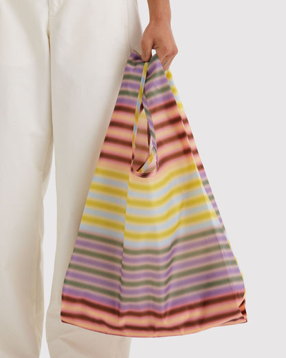 Standard Baggu : Multi Gradient Stripe