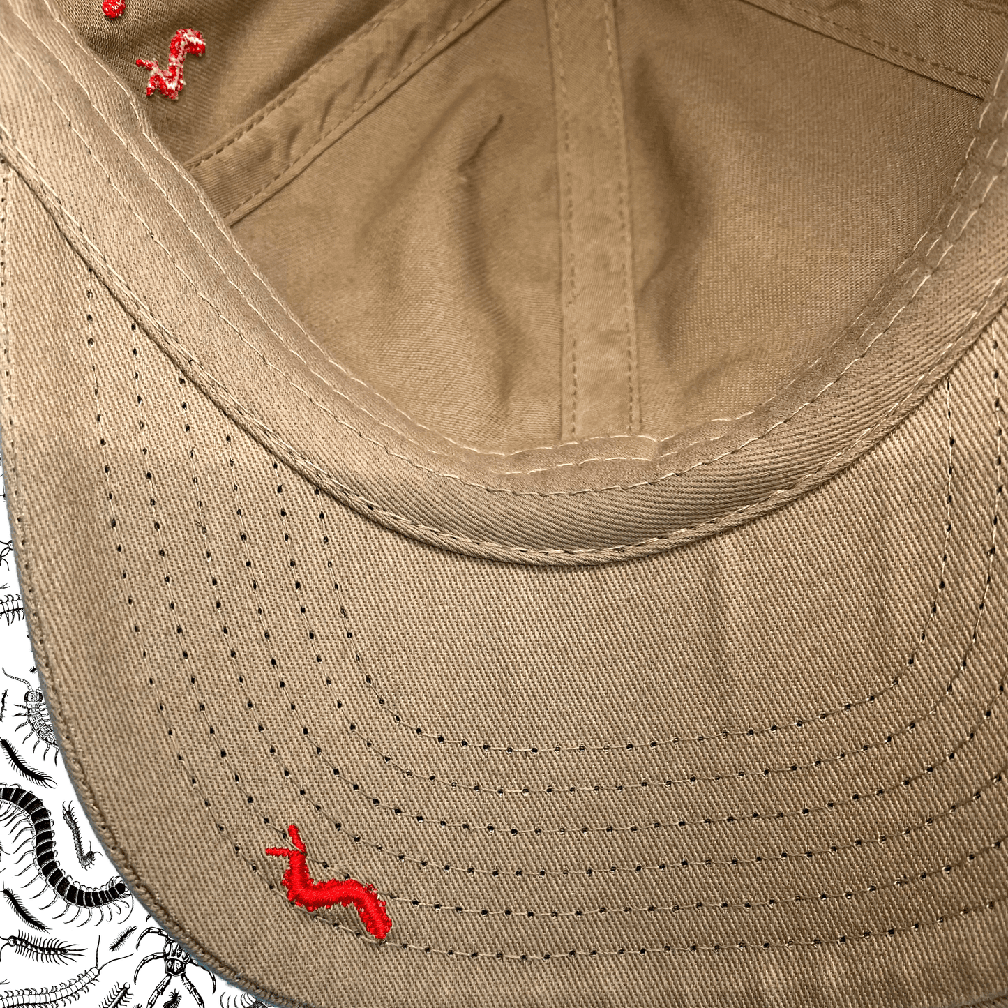 67 Centipedes Dad Hat