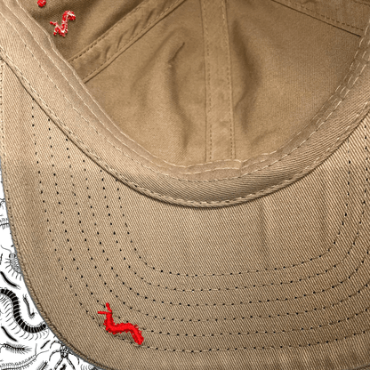 67 Centipedes Dad Hat