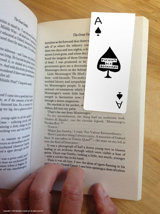 Fucking Ace - Shrigley Magnetic Bookmark