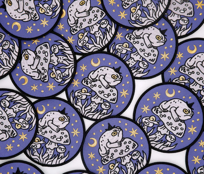 Grumpy Toad Witch Patch