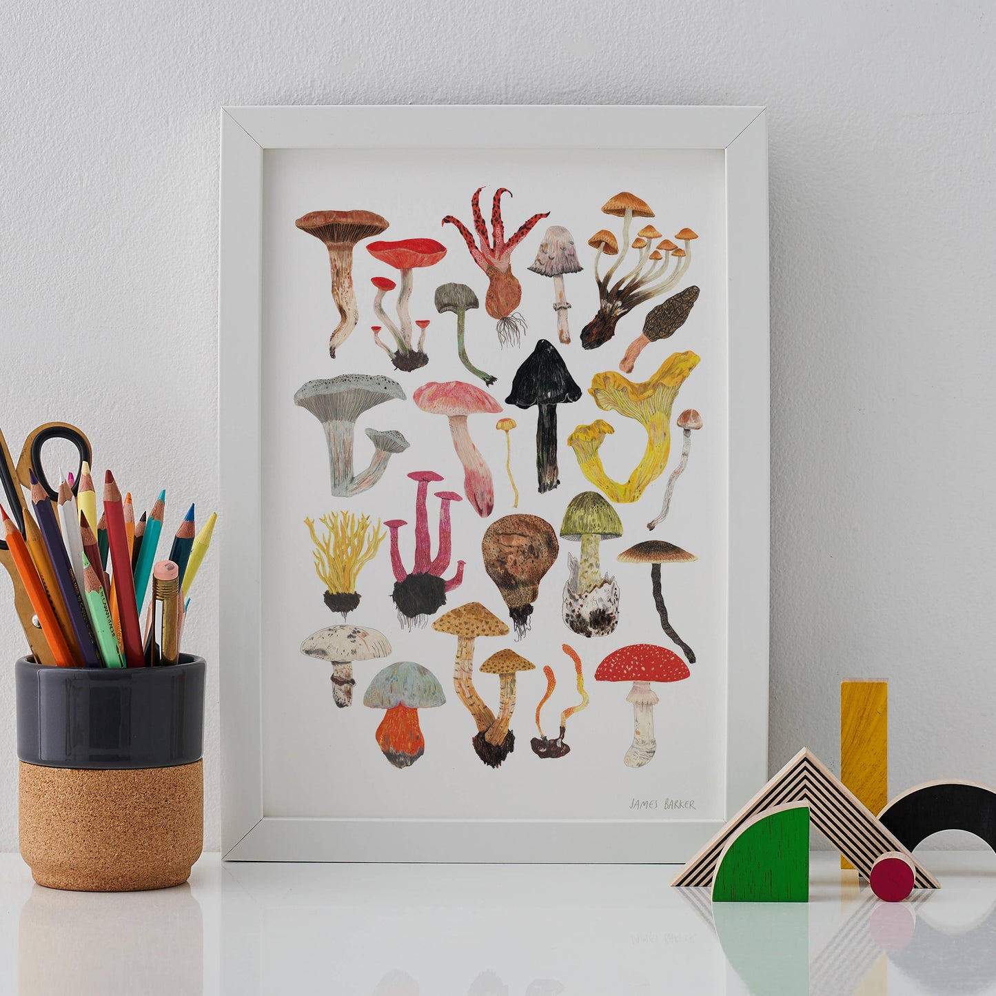 Mushrooms and Toadstools A3 Print
