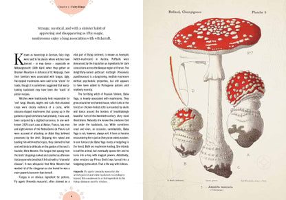 The Magic of Mushrooms