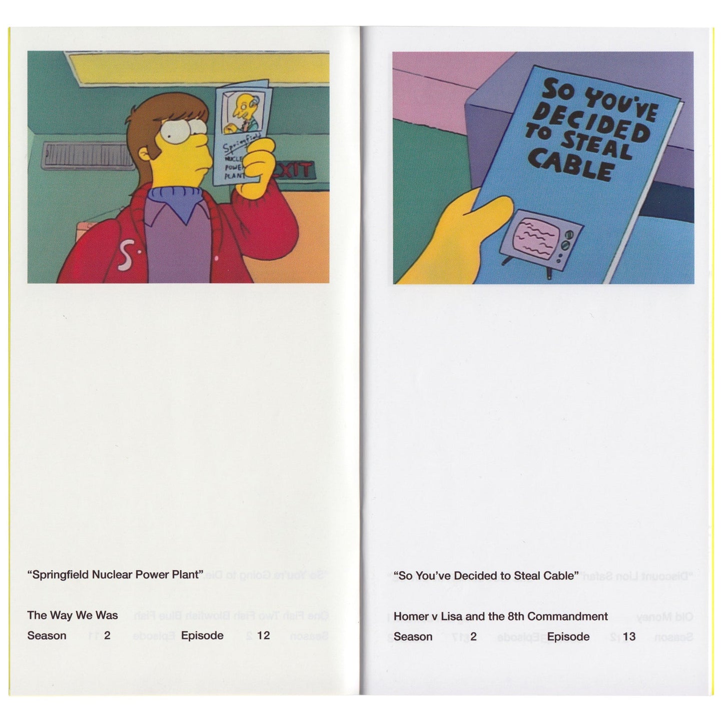 So You've Purchased a Simpsons Pamphlet Zine