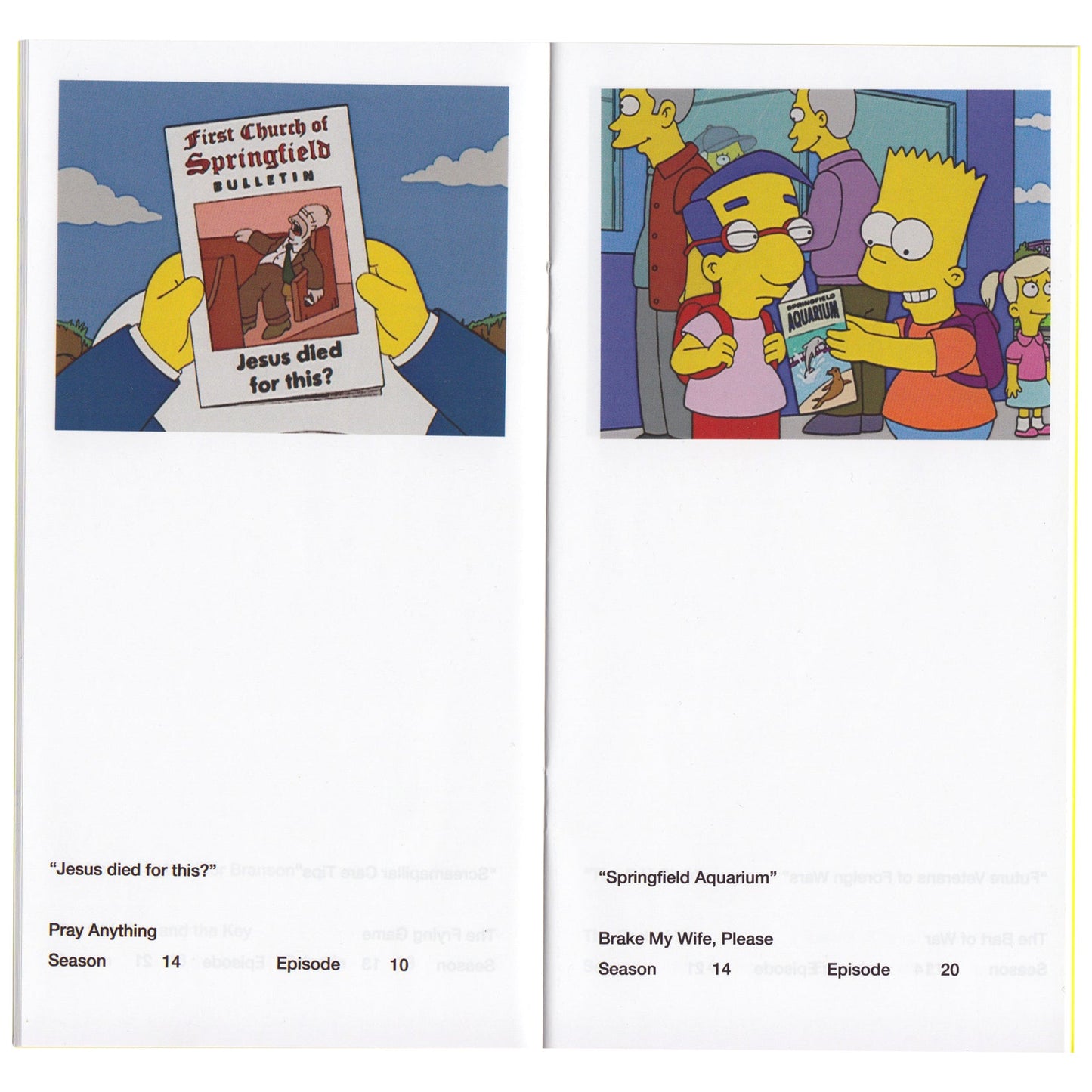 So You've Purchased a Simpsons Pamphlet Zine