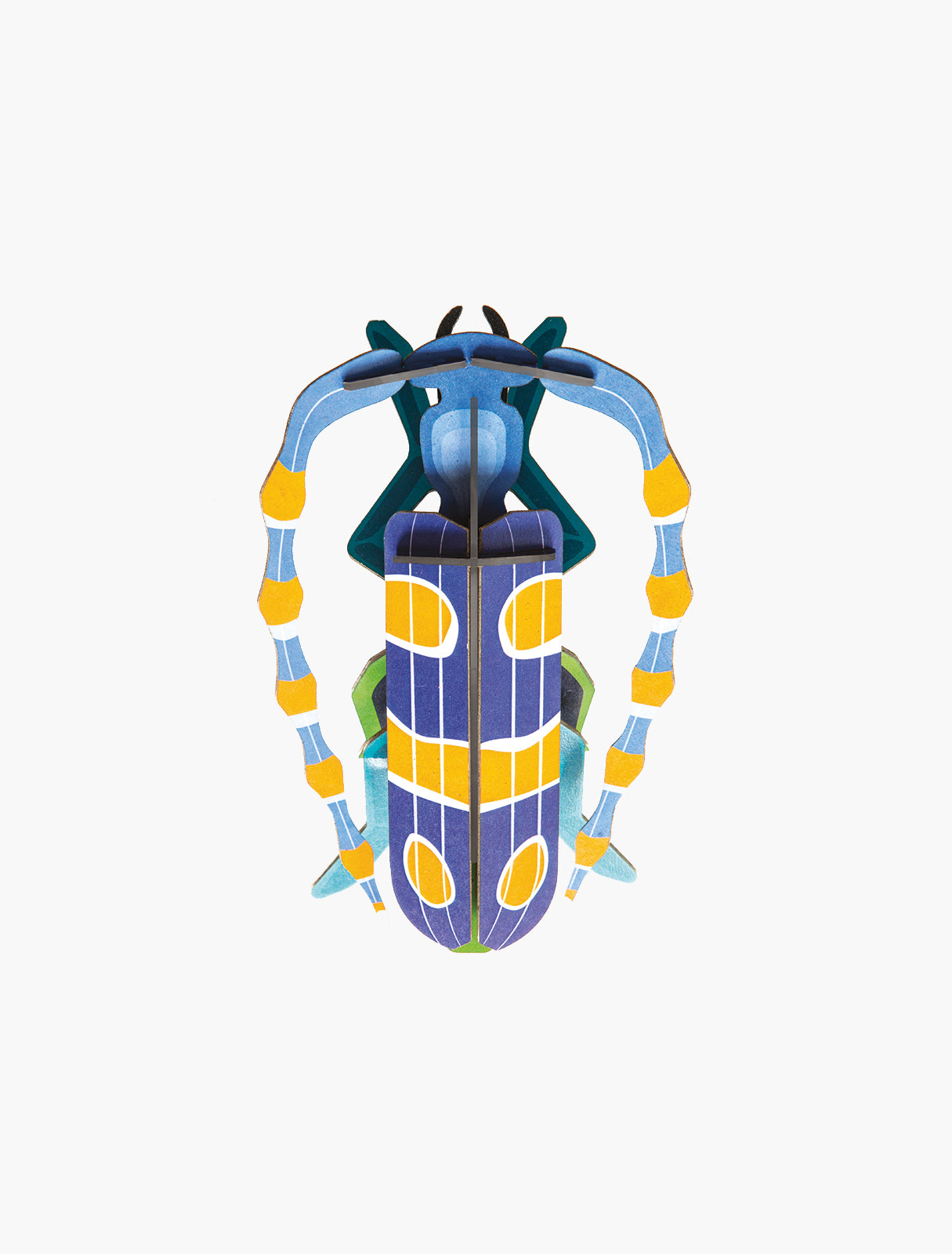 Studio ROOF Insects - Rosalia Beetle