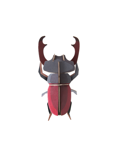 Studio ROOF Insects