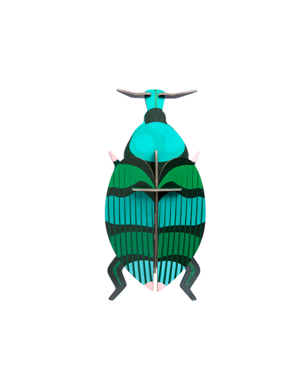Studio ROOF Insects