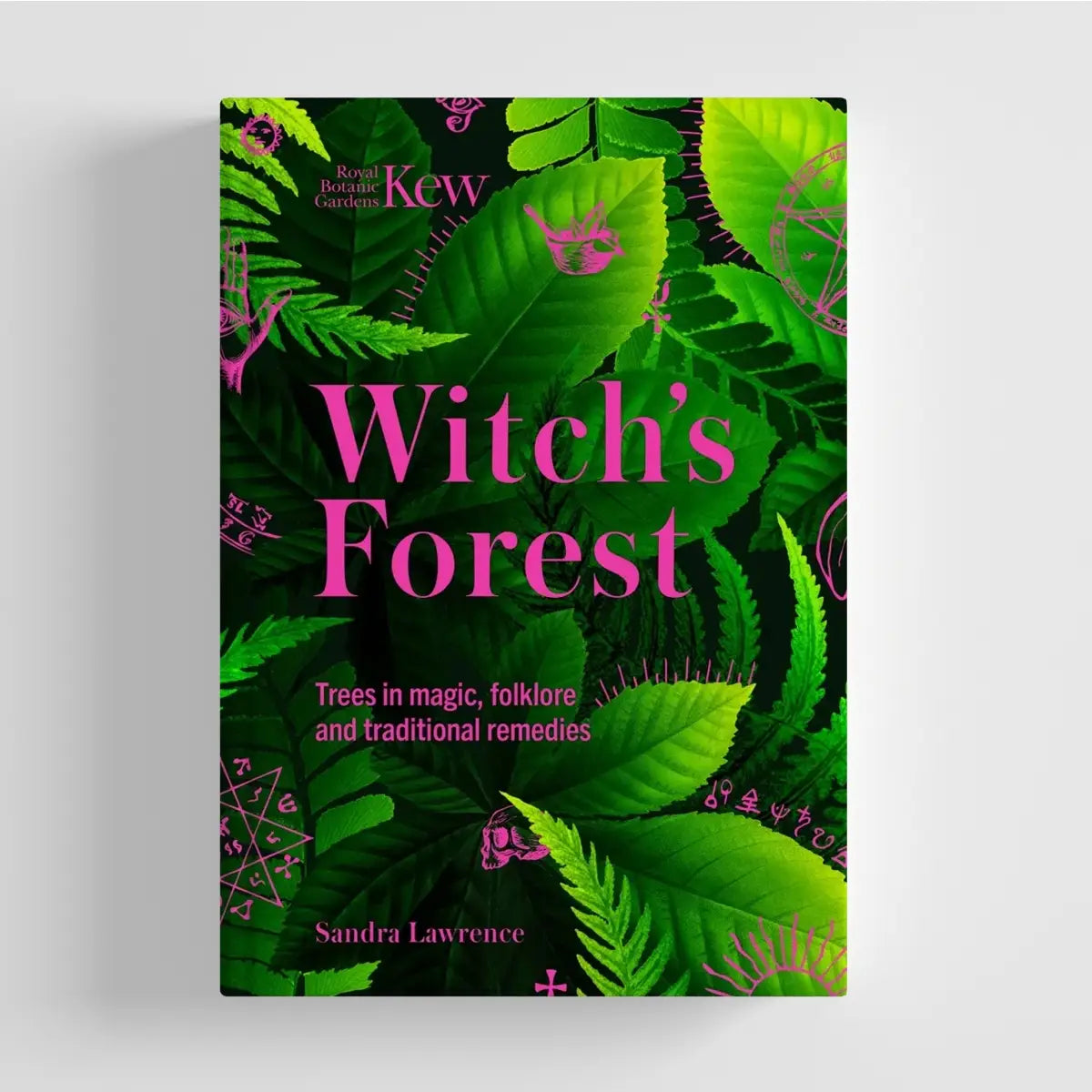 Witch's Forest