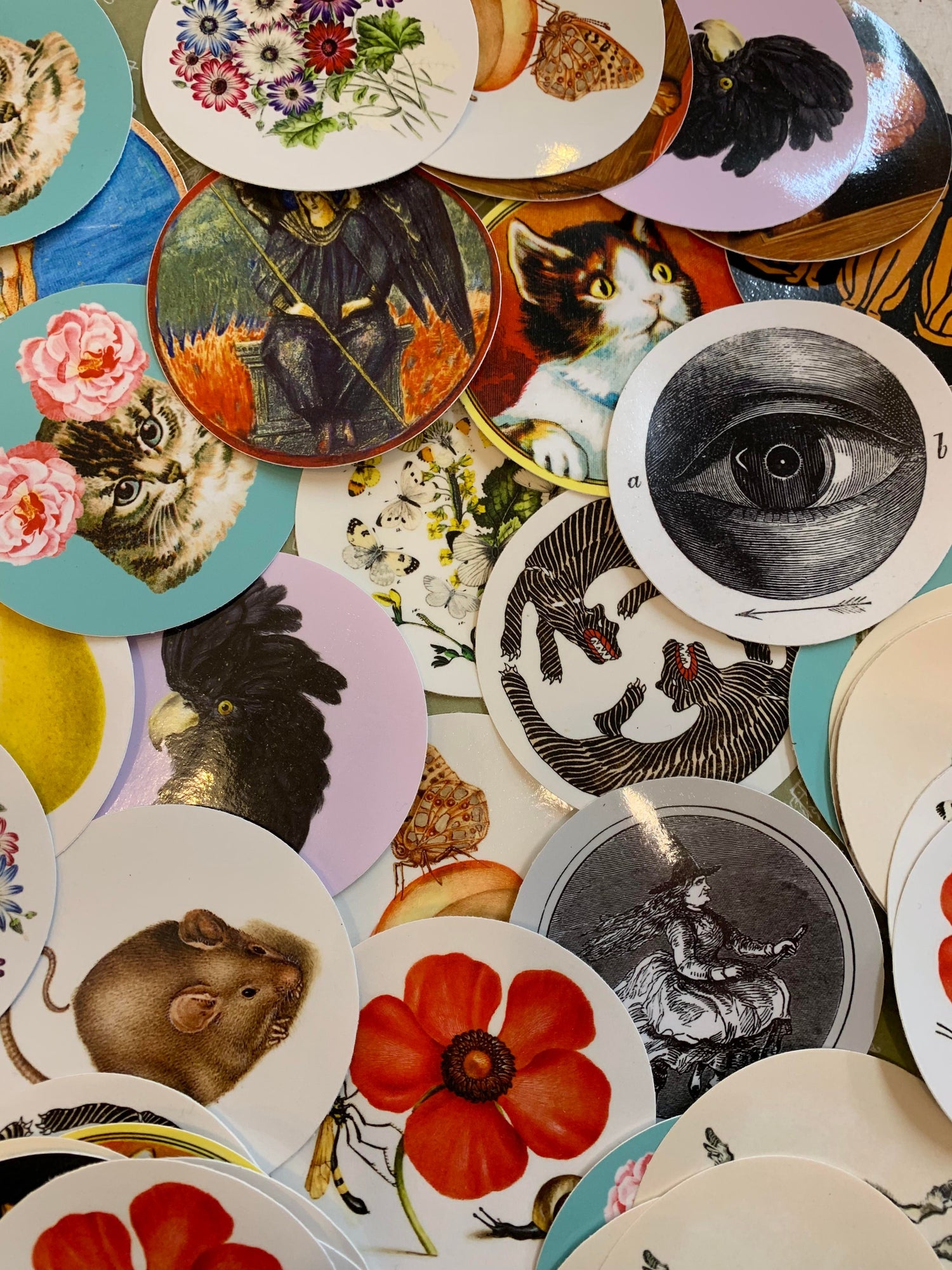 Mystery Sticker Pack!