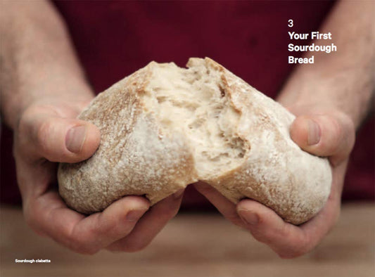 Do Sourdough: Slow Bread for Busy Lives