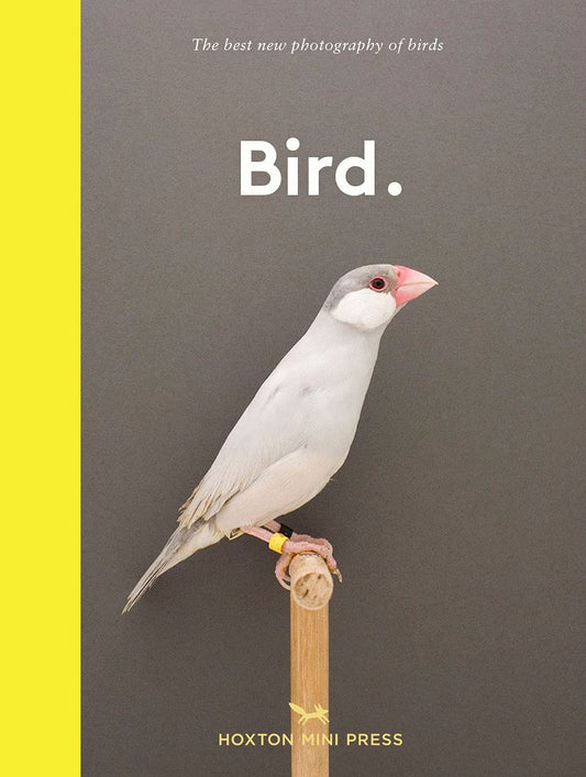 Bird: The Best New Photography of Birds