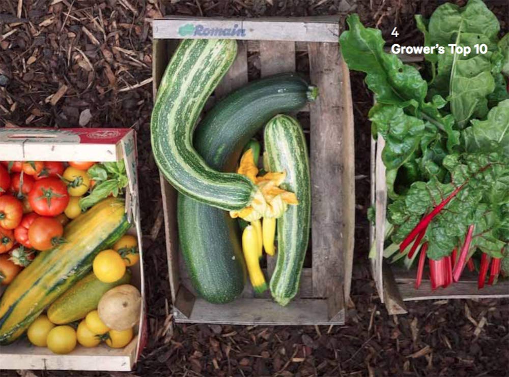 Do Grow: Start with 10 Simple Vegetables
