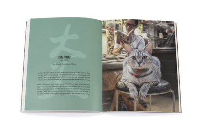 Shop Cats of China