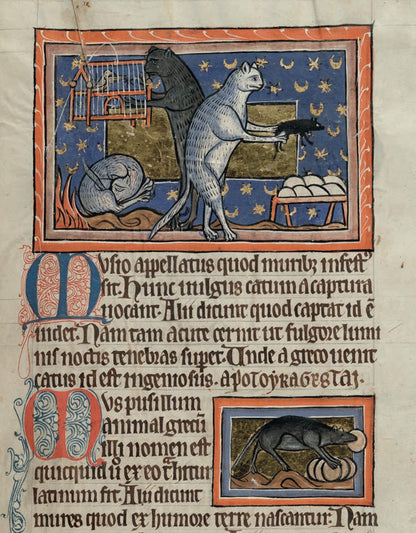 Cats in Medieval Manuscripts