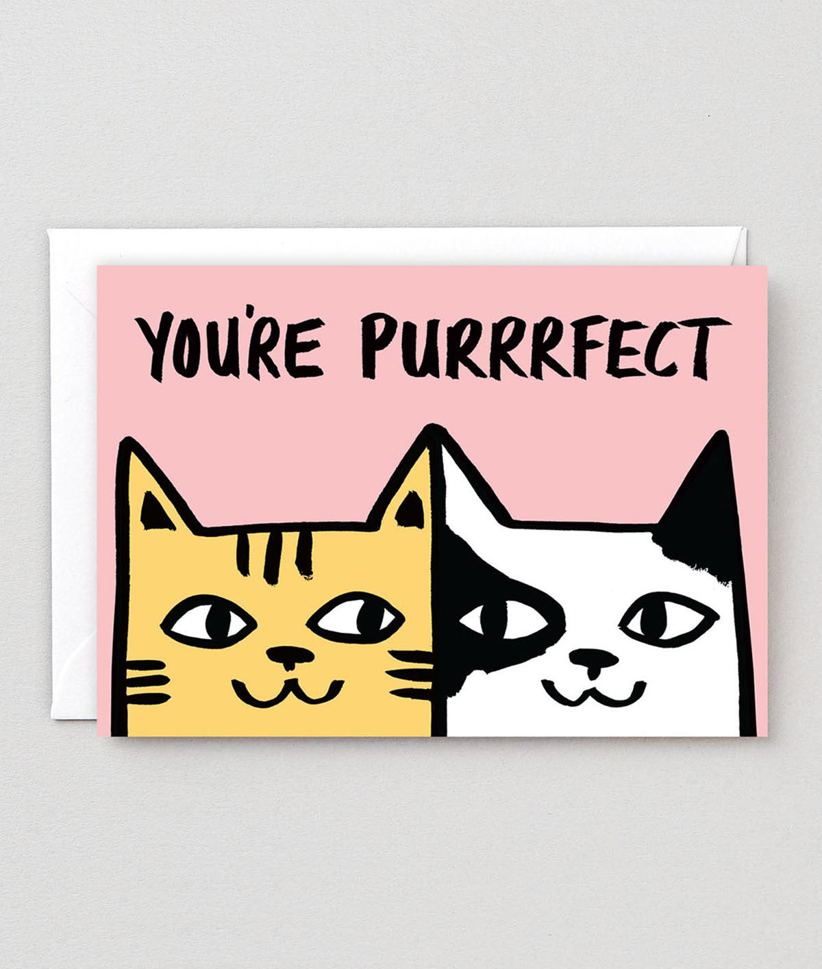 You're Purrrfect Greetings Card