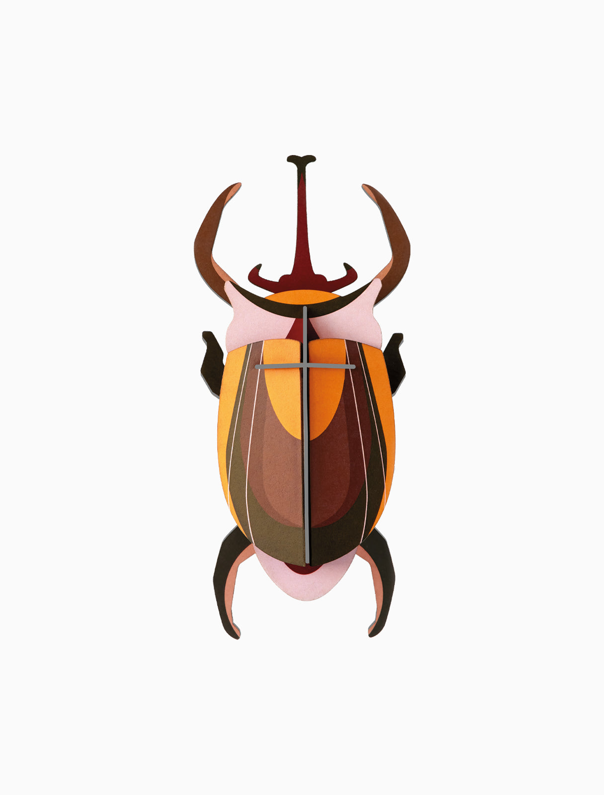 Studio ROOF Insects - Elephant Beetle
