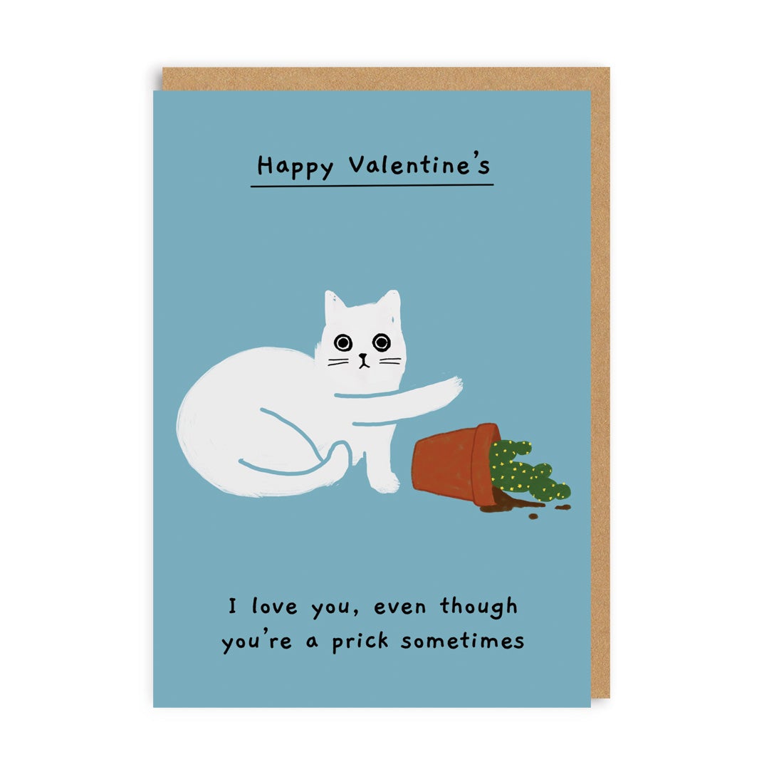 I Love You Even Though You're A Prick Sometimes Valentines Card