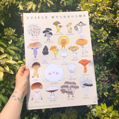 Edible Mushrooms A3 Print