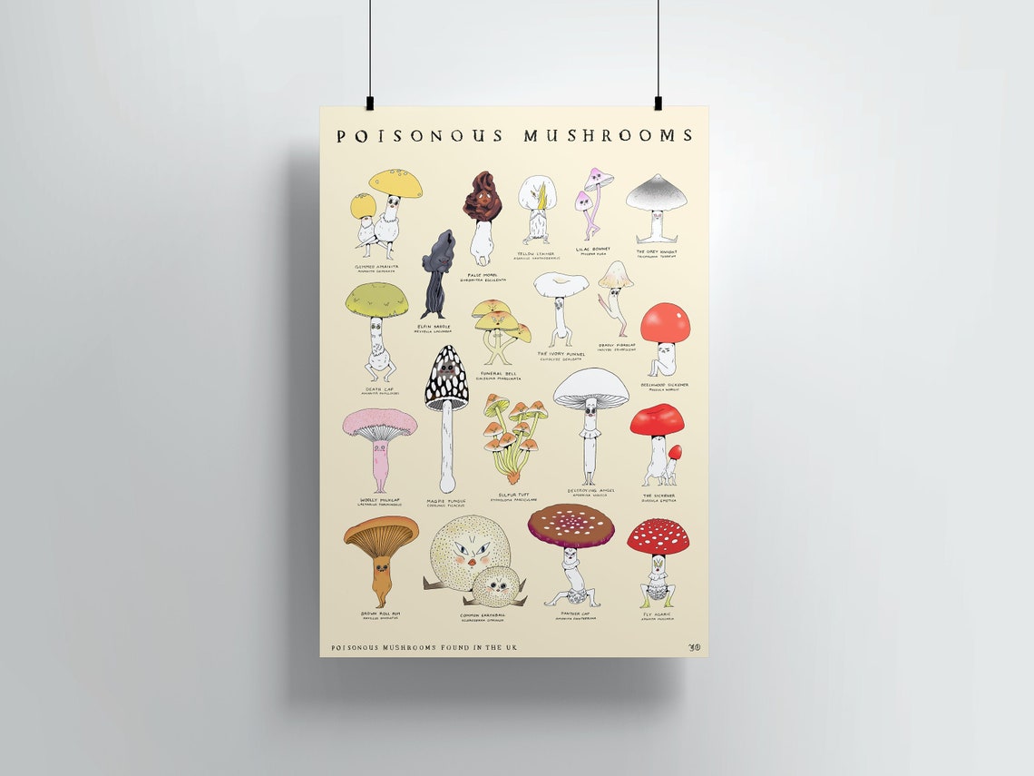 Poisonous Mushrooms A3 Print
