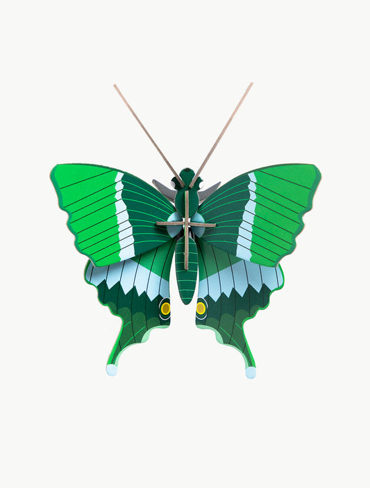 Studio ROOF Insects - Jade Swallowtail Butterfly